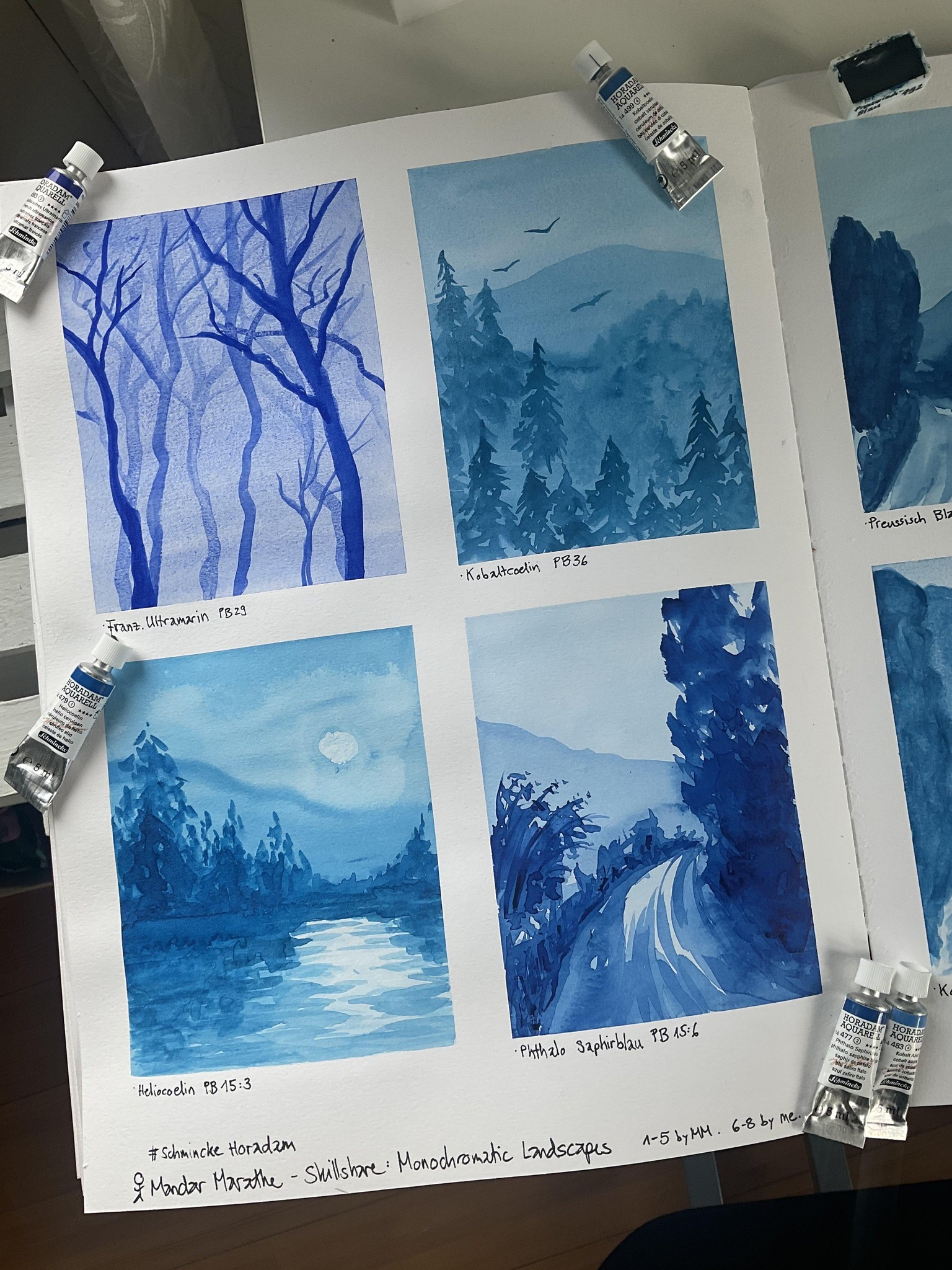 Monochromatic Landscapes #Watercolour - image 1 - student project