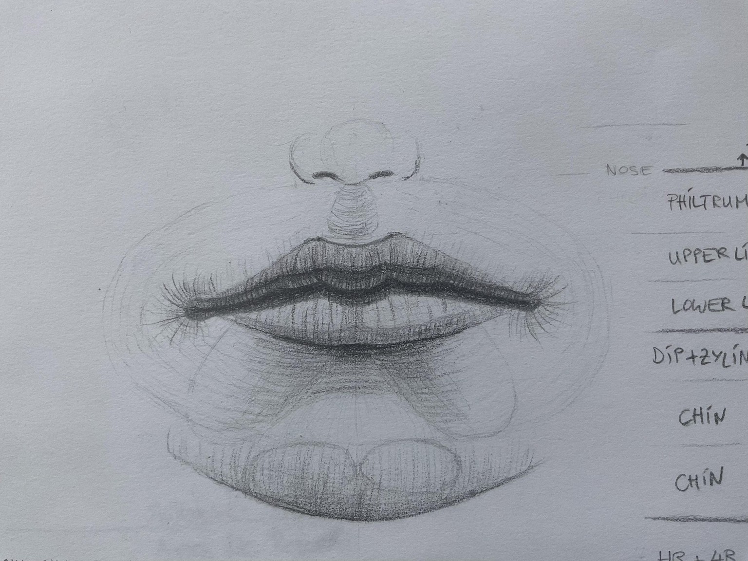 Lips #Pencil - image 1 - student project