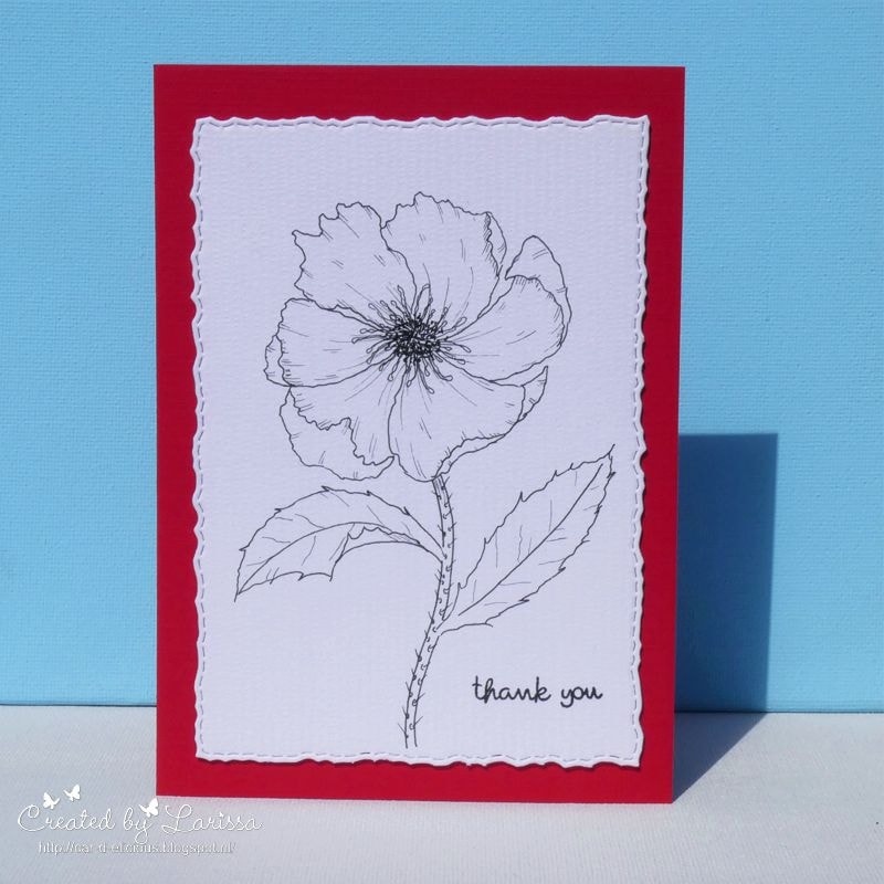 Poppy card - image 1 - student project