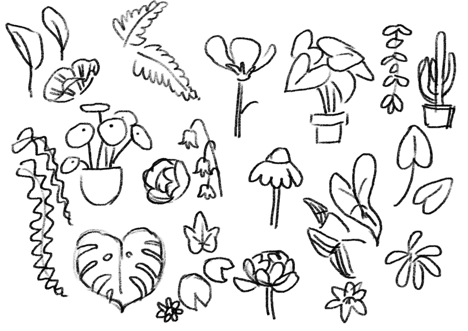 Flowers & Foliage - image 1 - student project