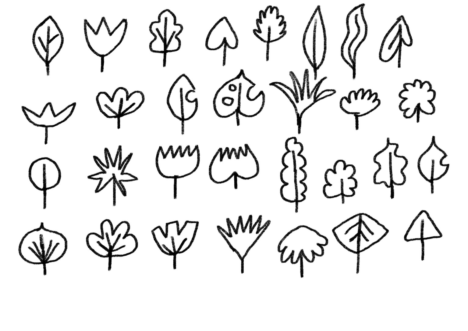 Flowers & Foliage - image 2 - student project