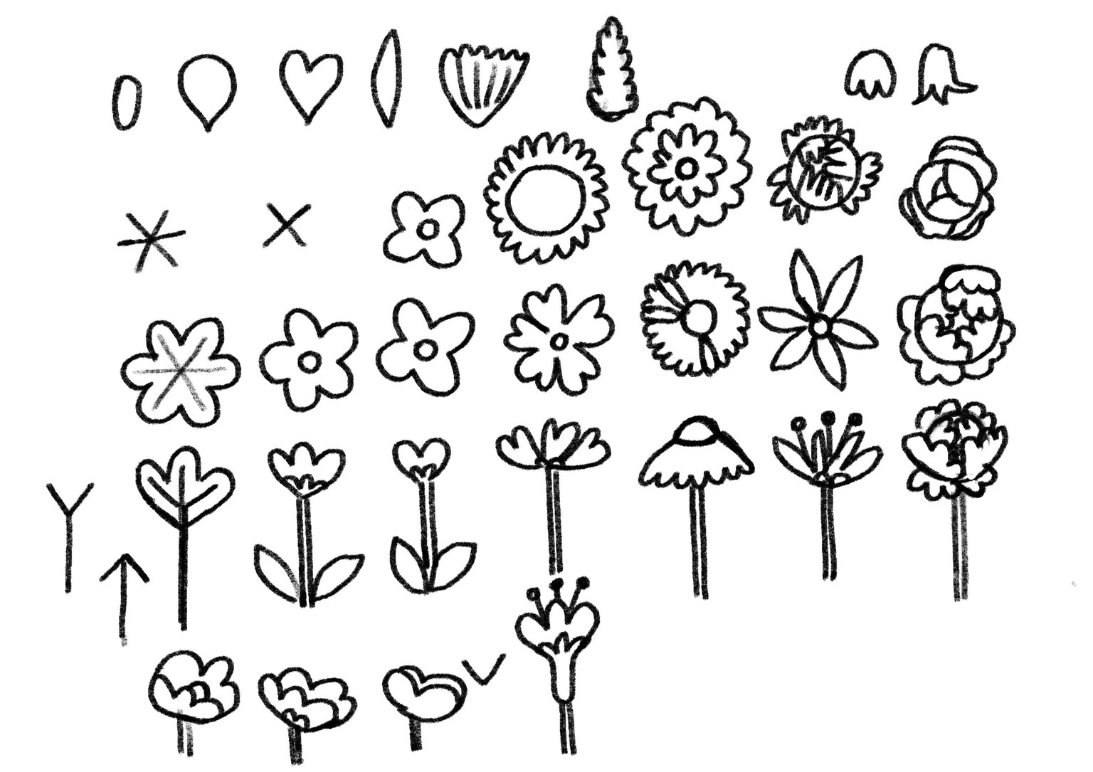 Flowers & Foliage - image 3 - student project