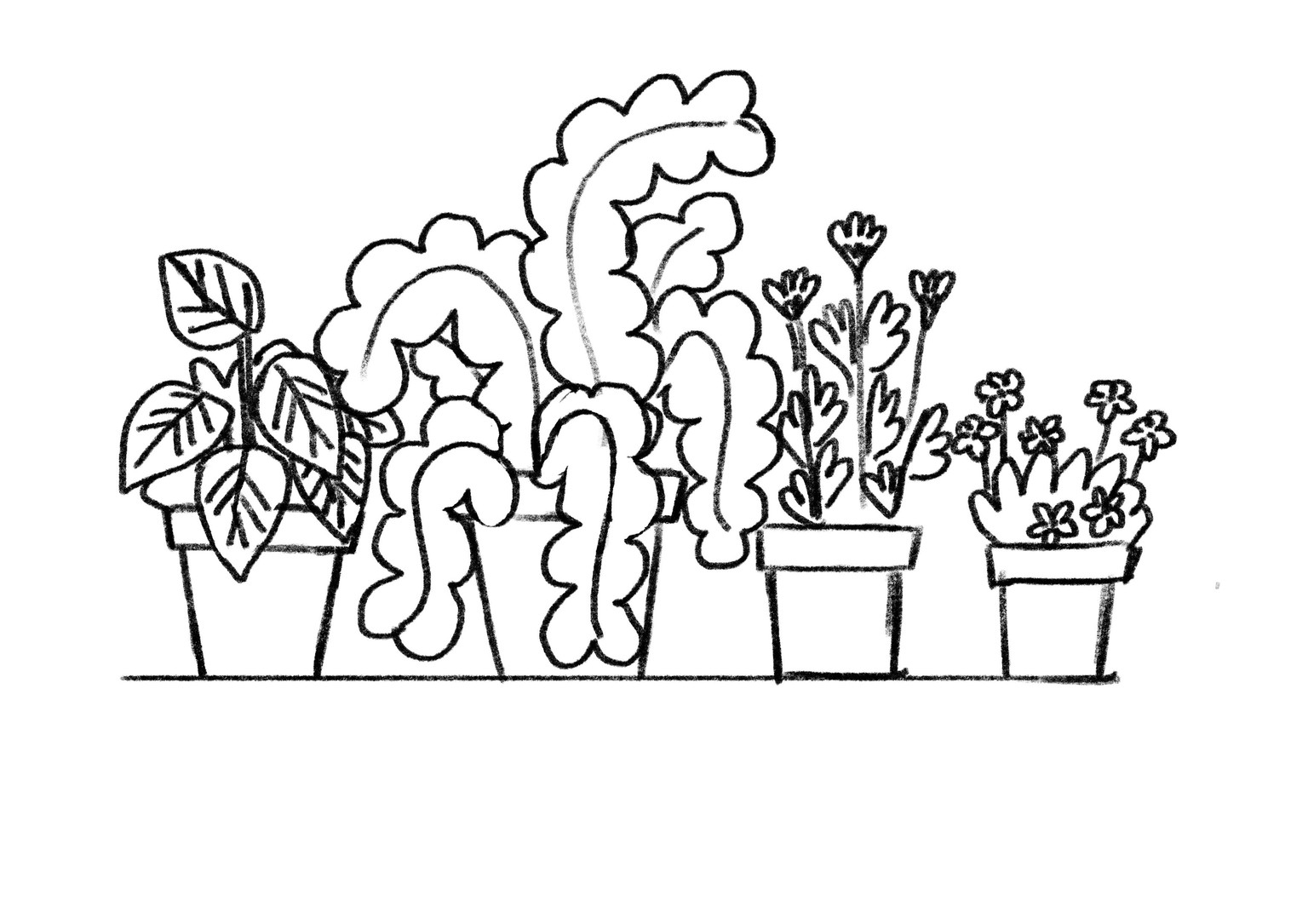 Flowers & Foliage - image 5 - student project