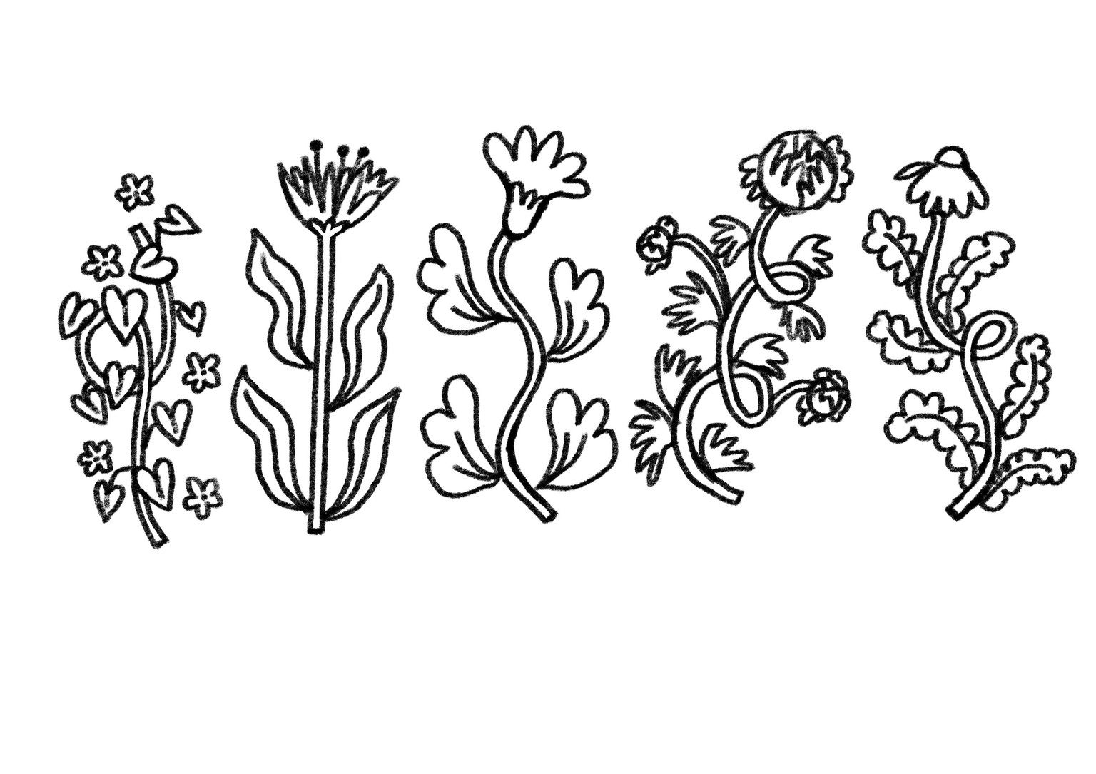 Flowers & Foliage - image 4 - student project