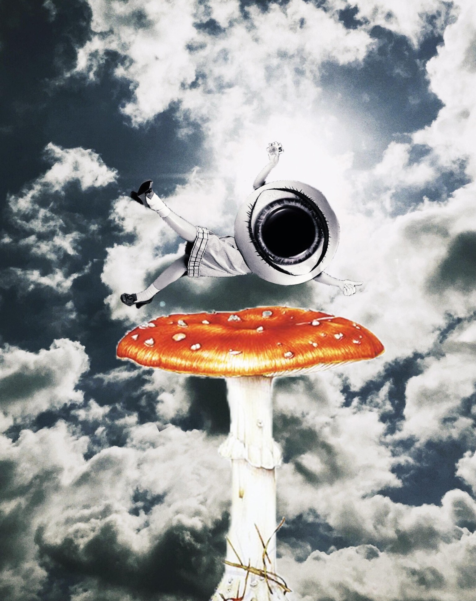 Life - image 1 - student project
