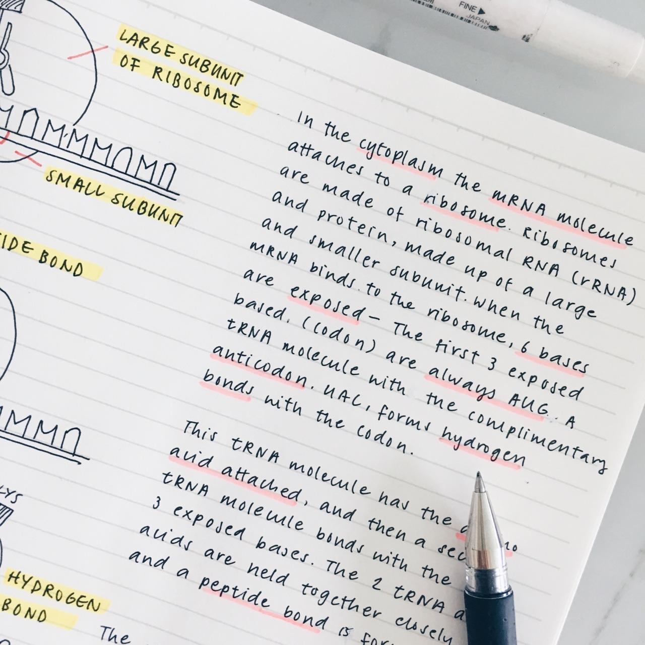 Handwriting Improvement - image 2 - student project