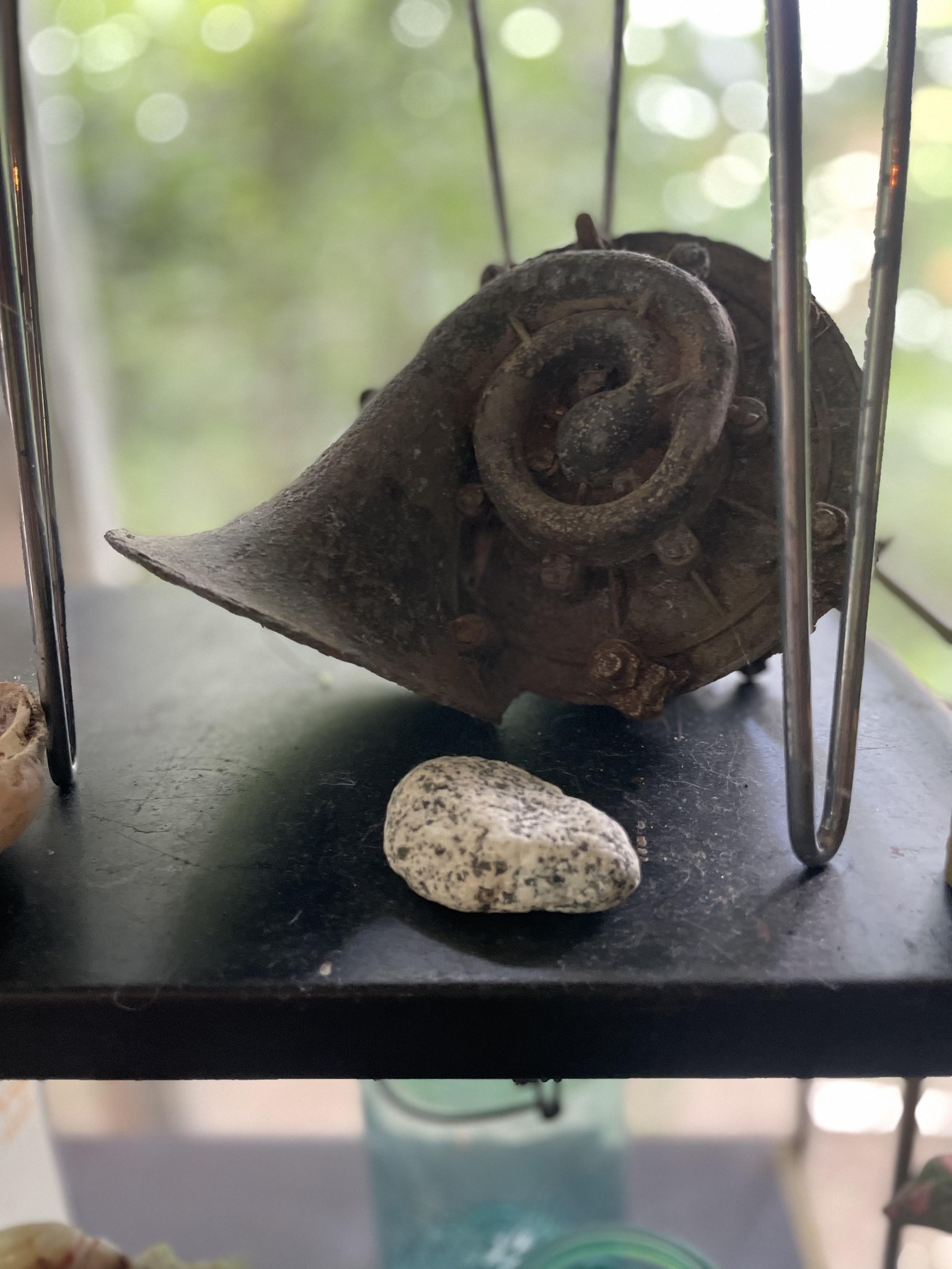 Carhornguitarplant/ISOapertureshutterspeed - image 1 - student project