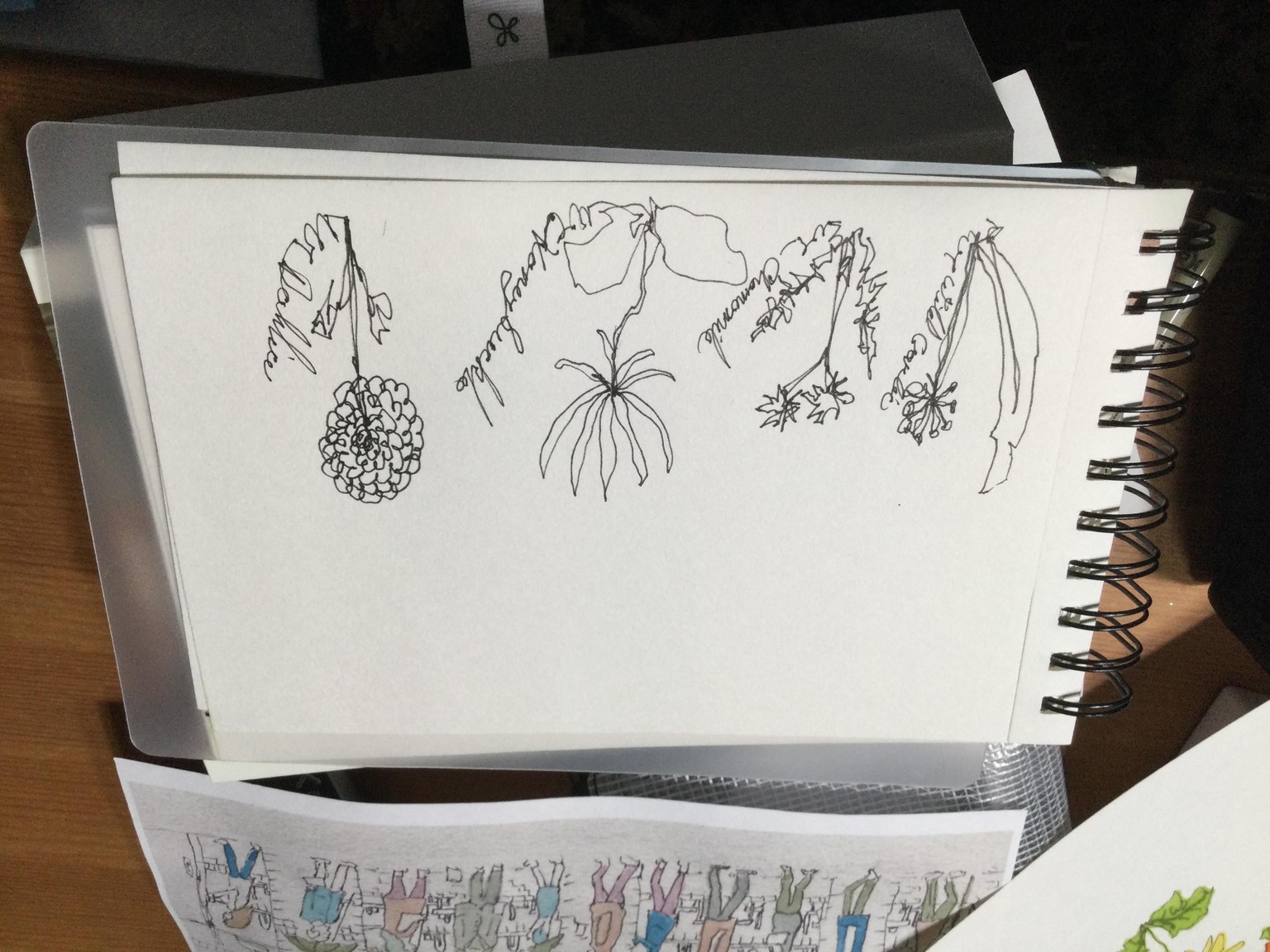 Loose sketching flowers - image 3 - student project