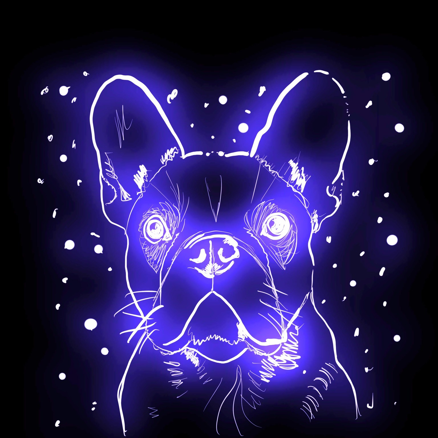 Pet portrait with Procreate - image 2 - student project