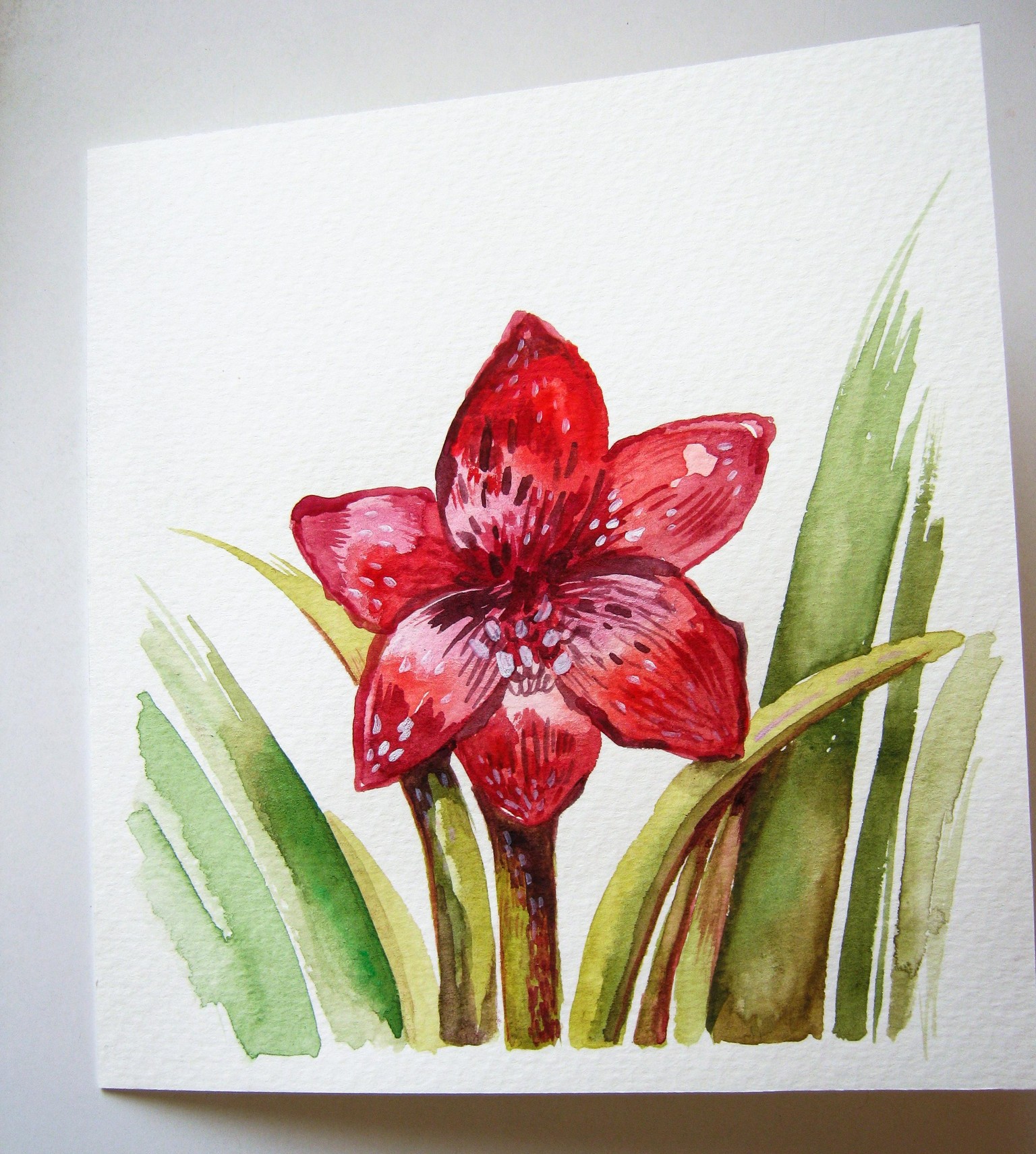 Painting Holiday florals in Spring, who else is painting them? - image 9 - student project
