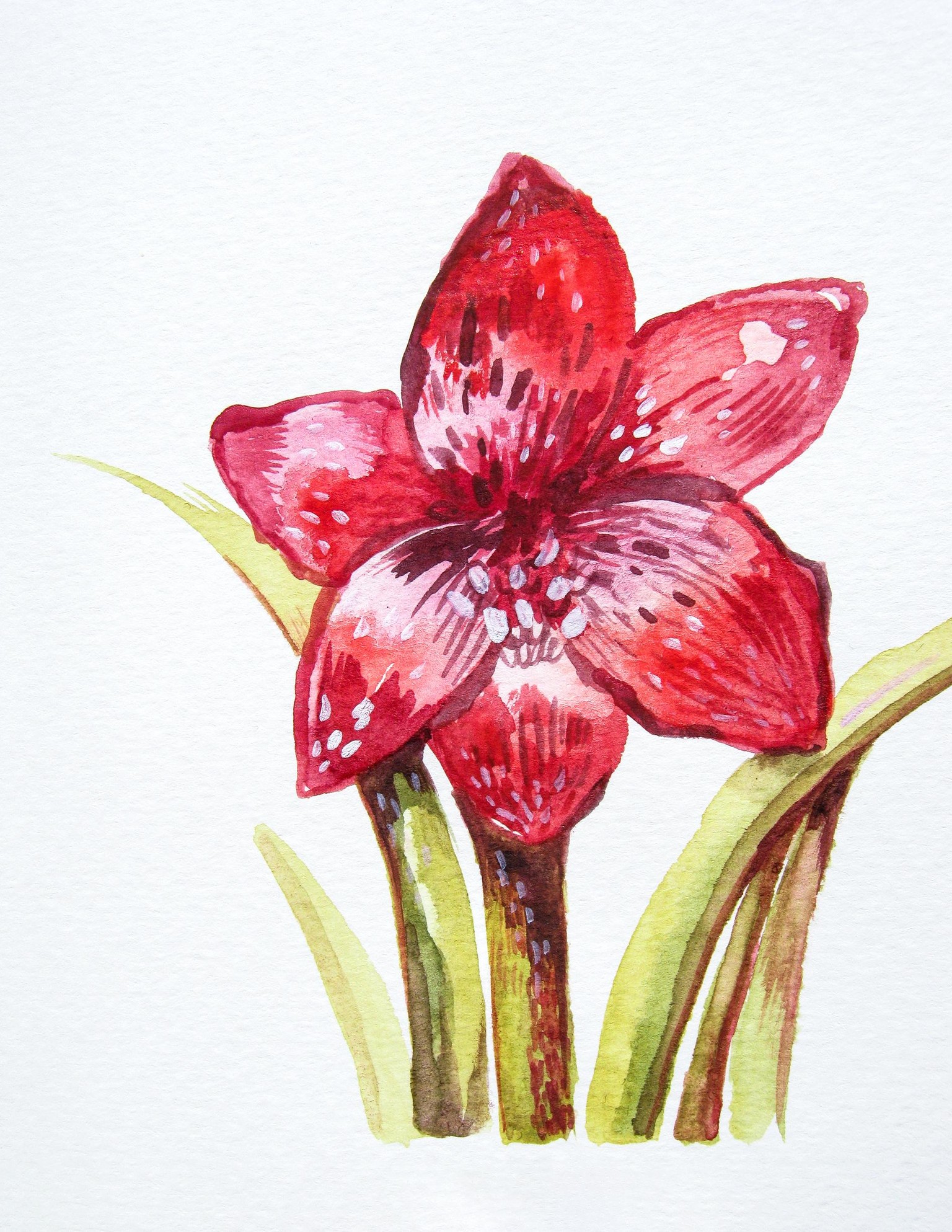 Painting Holiday florals in Spring, who else is painting them? - image 7 - student project