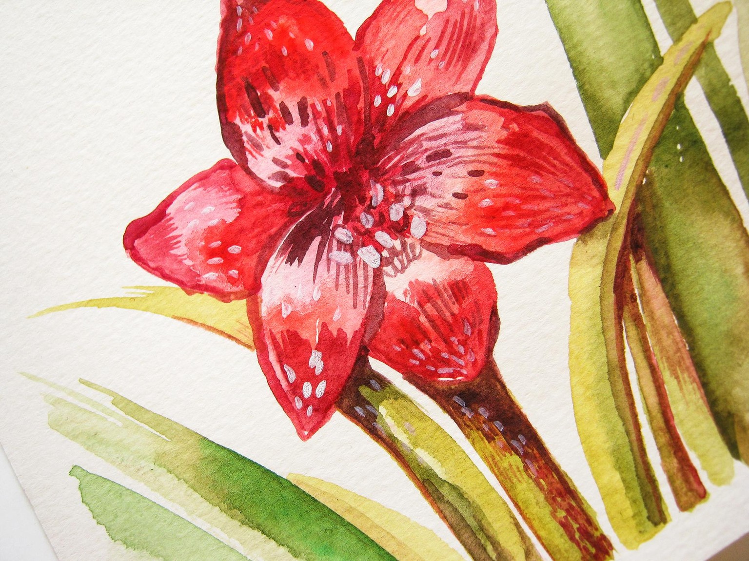 Painting Holiday florals in Spring, who else is painting them? - image 8 - student project
