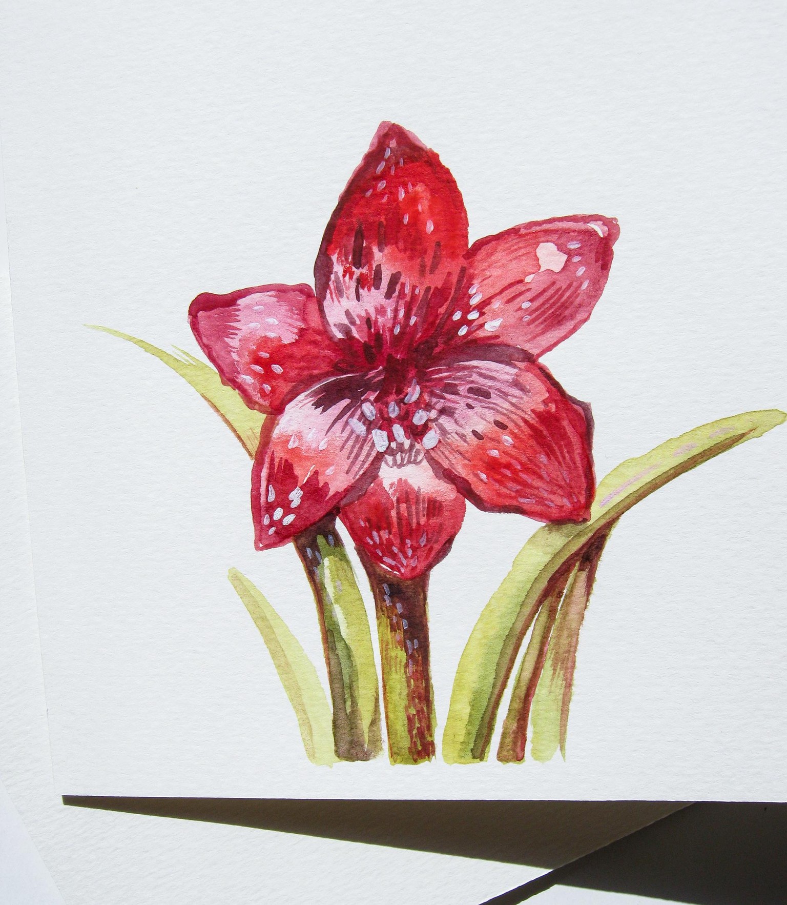 Painting Holiday florals in Spring, who else is painting them? - image 6 - student project