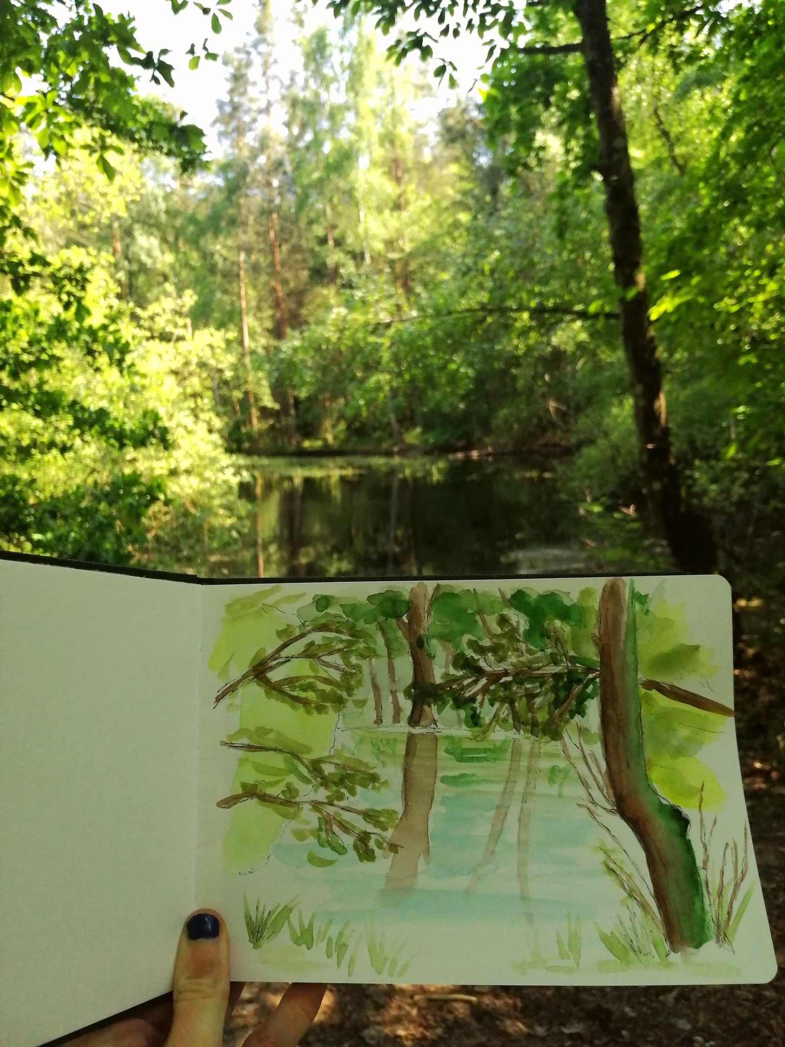 I took a Walk in the Woods - image 1 - student project