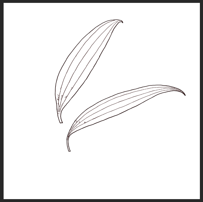 STILL LIFE LILY - image 3 - student project
