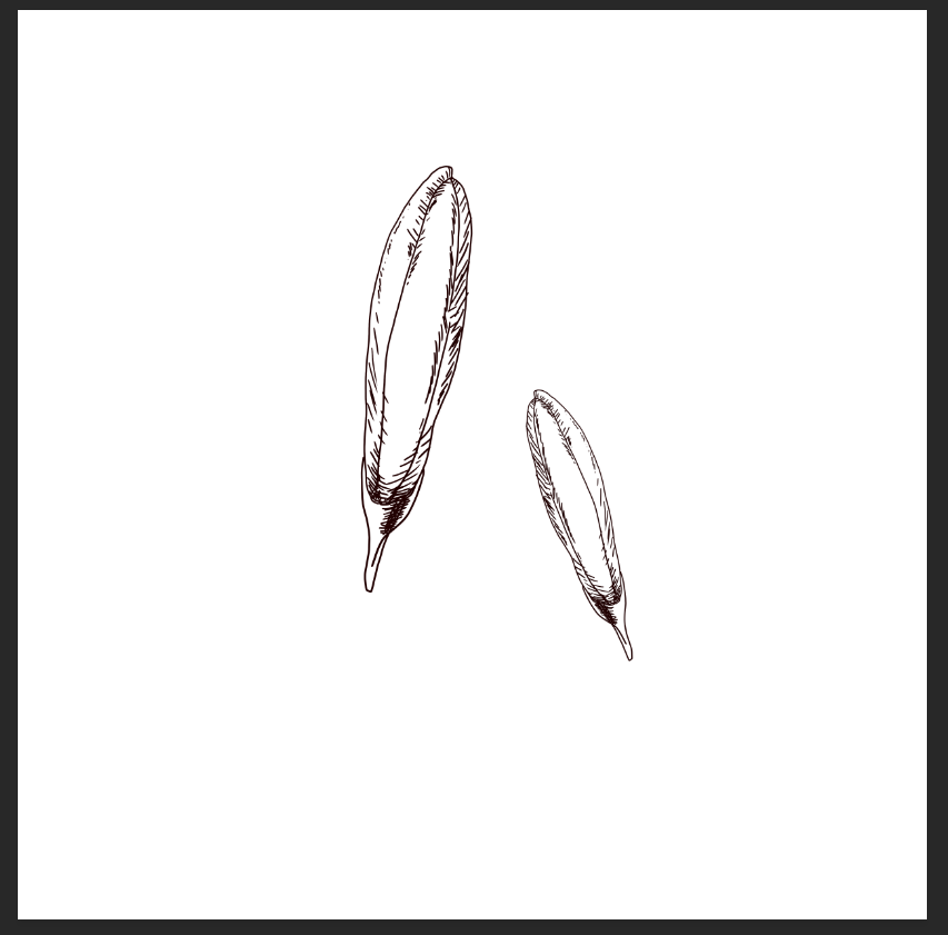 STILL LIFE LILY - image 4 - student project