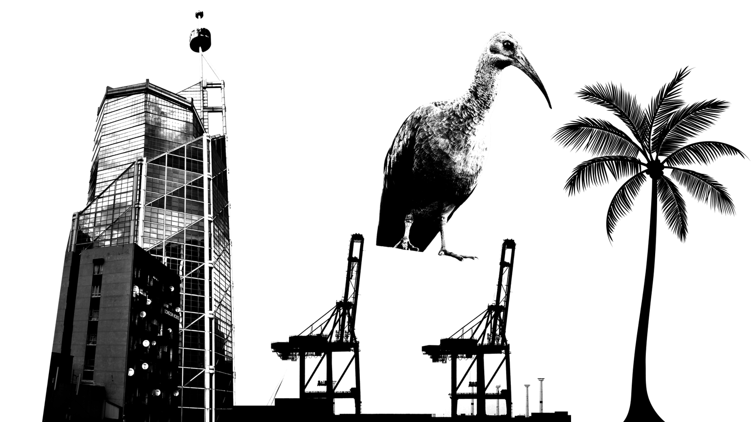 My City Postcard (Durban) - image 3 - student project