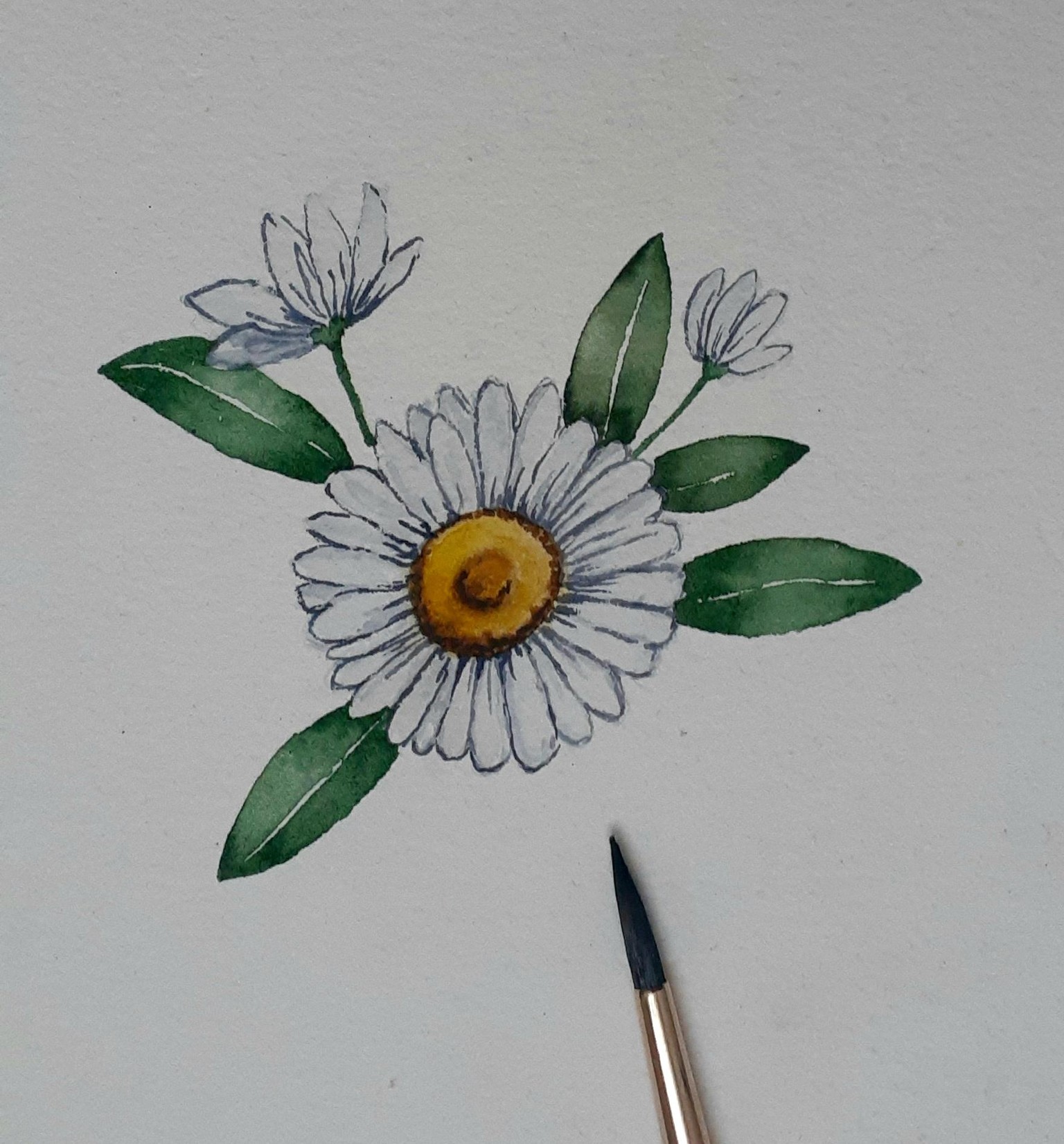 White Daisies - image 1 - student project