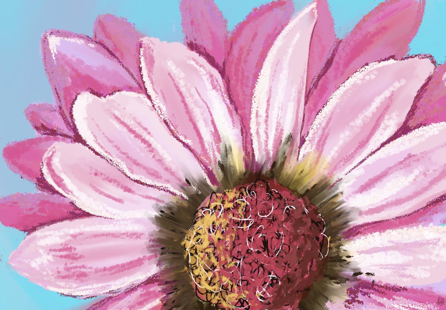Pink Daisy - image 1 - student project
