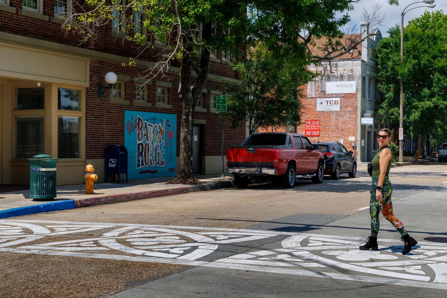 Recent Baton Rouge Walk - image 1 - student project