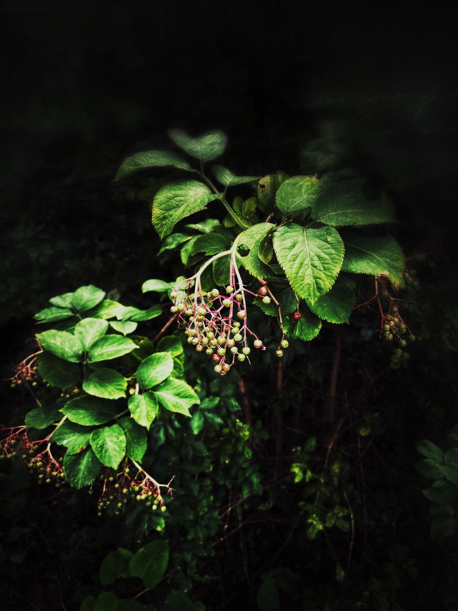 First time taking Photographs - image 3 - student project