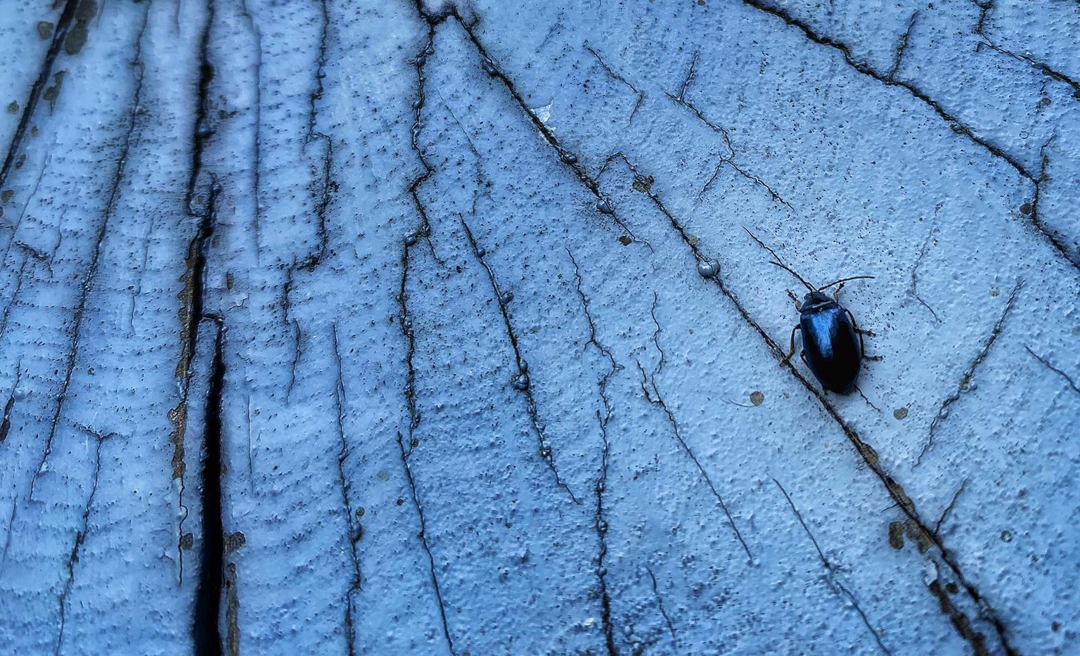 First time taking Photographs - image 1 - student project