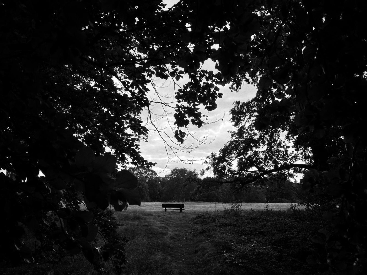 First time taking Photographs - image 2 - student project
