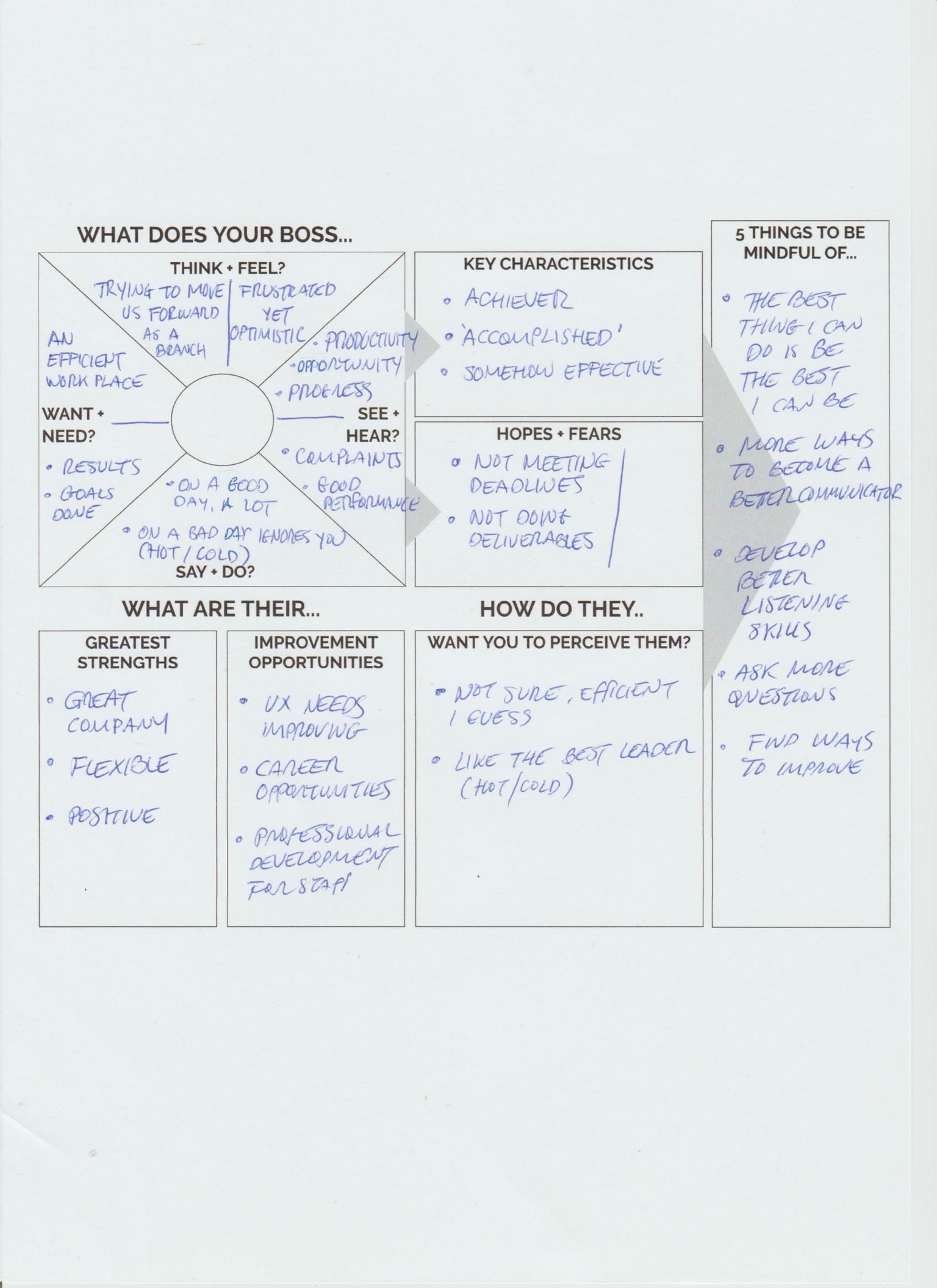 Career Development: Creating an Action Plan with Design Thinking - image 2 - student project