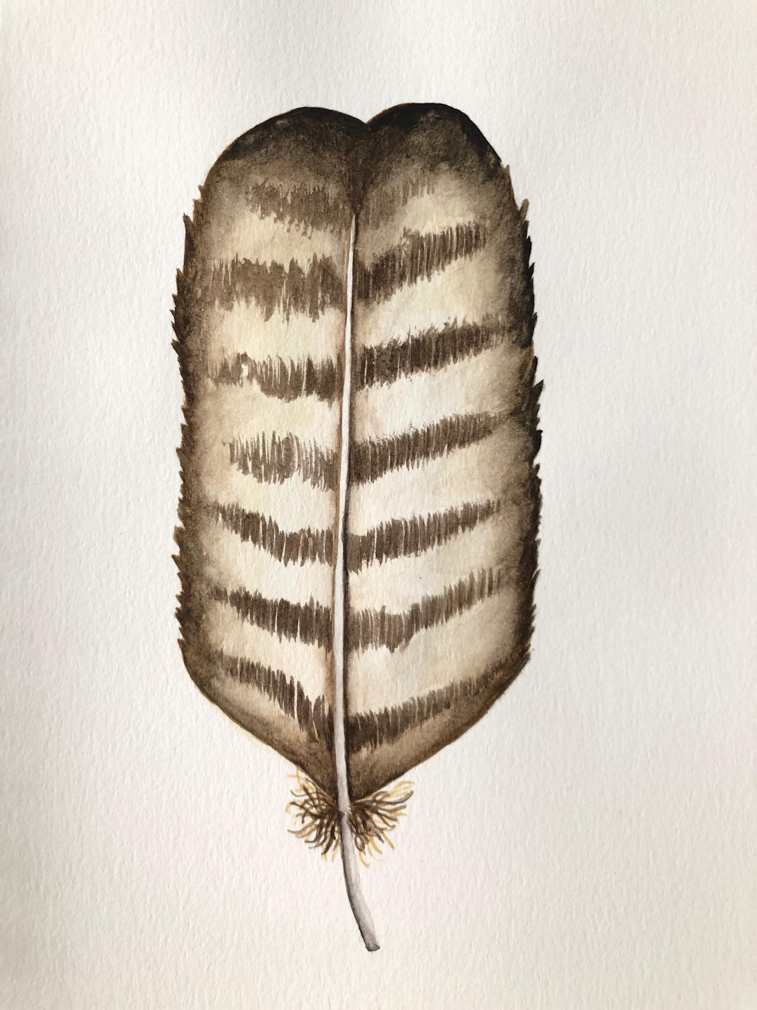 Painting Feathers - image 4 - student project