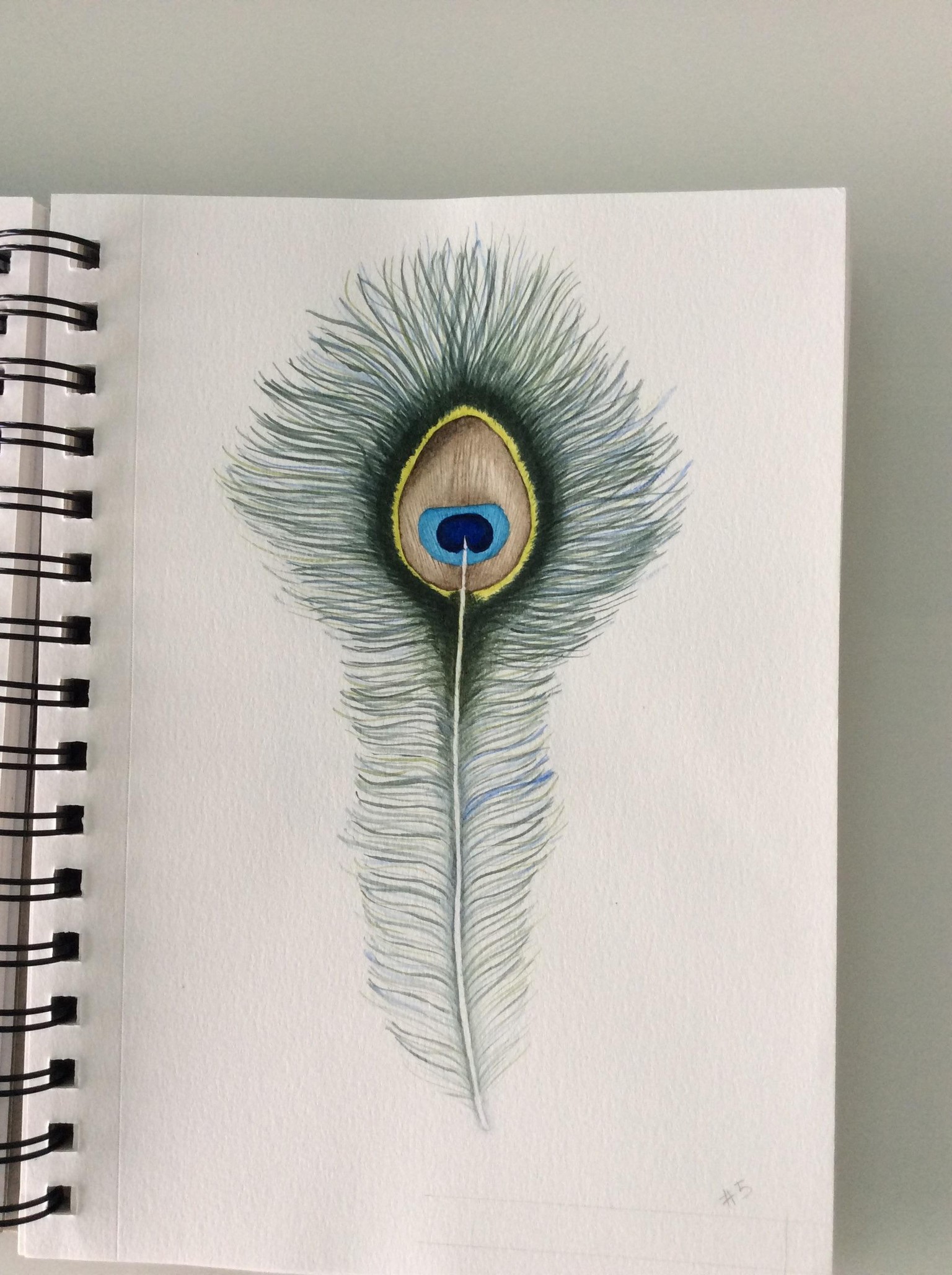 Painting Feathers - image 1 - student project