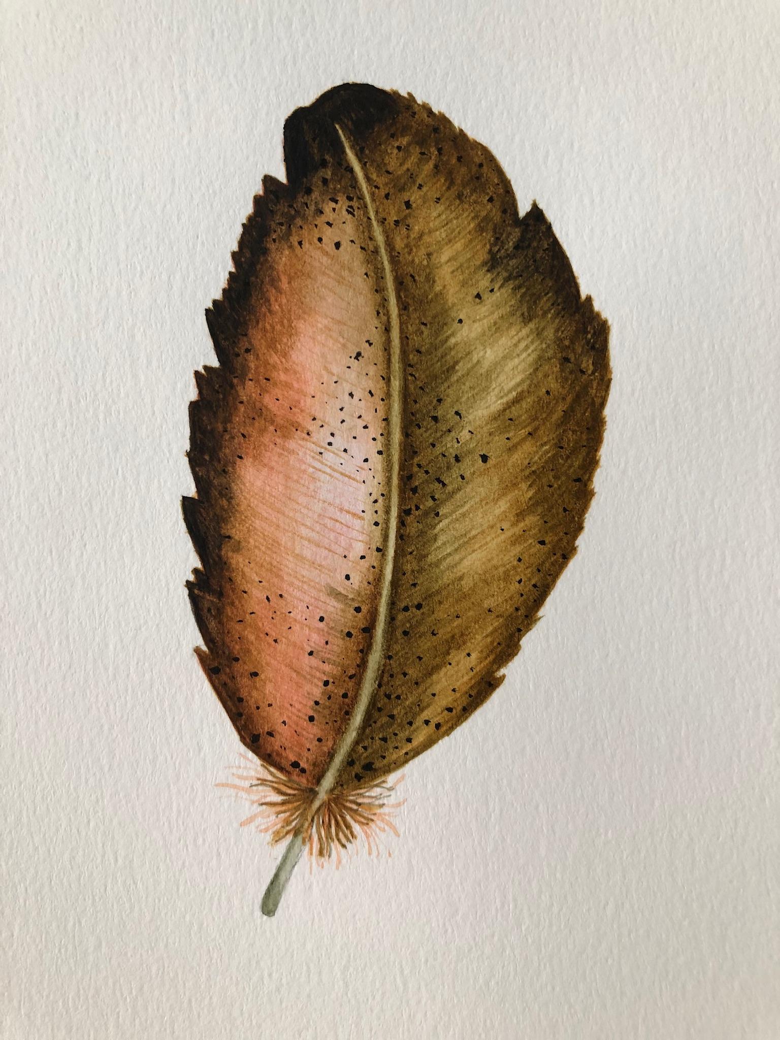 Painting Feathers - image 3 - student project