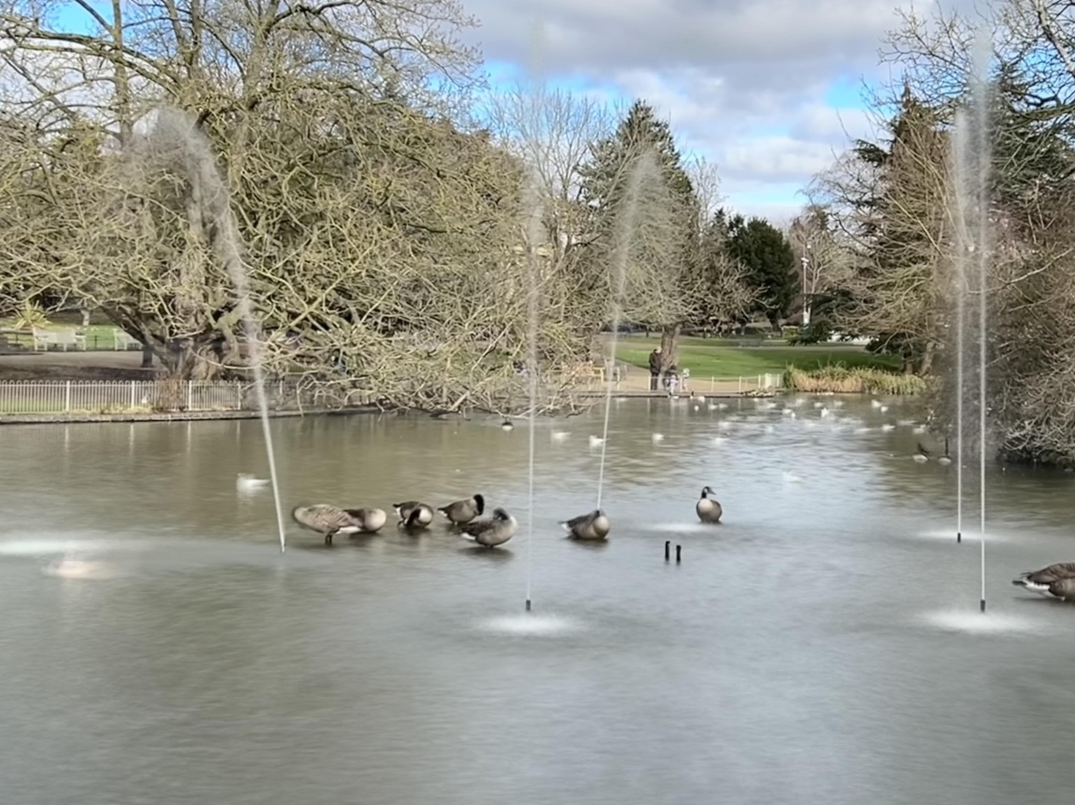 Live Photo with Long Exposure - image 1 - student project