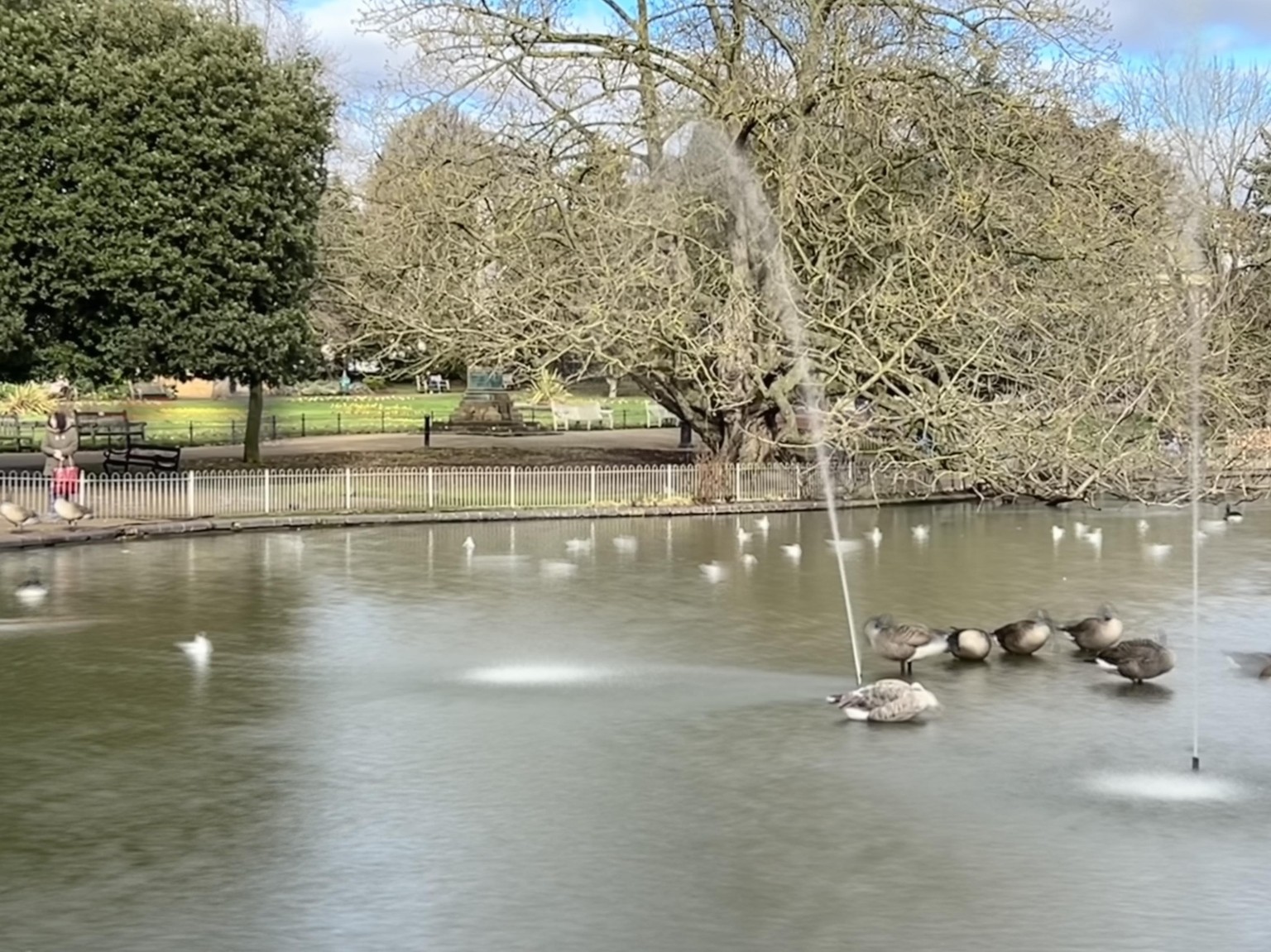 Live Photo with Long Exposure - image 2 - student project