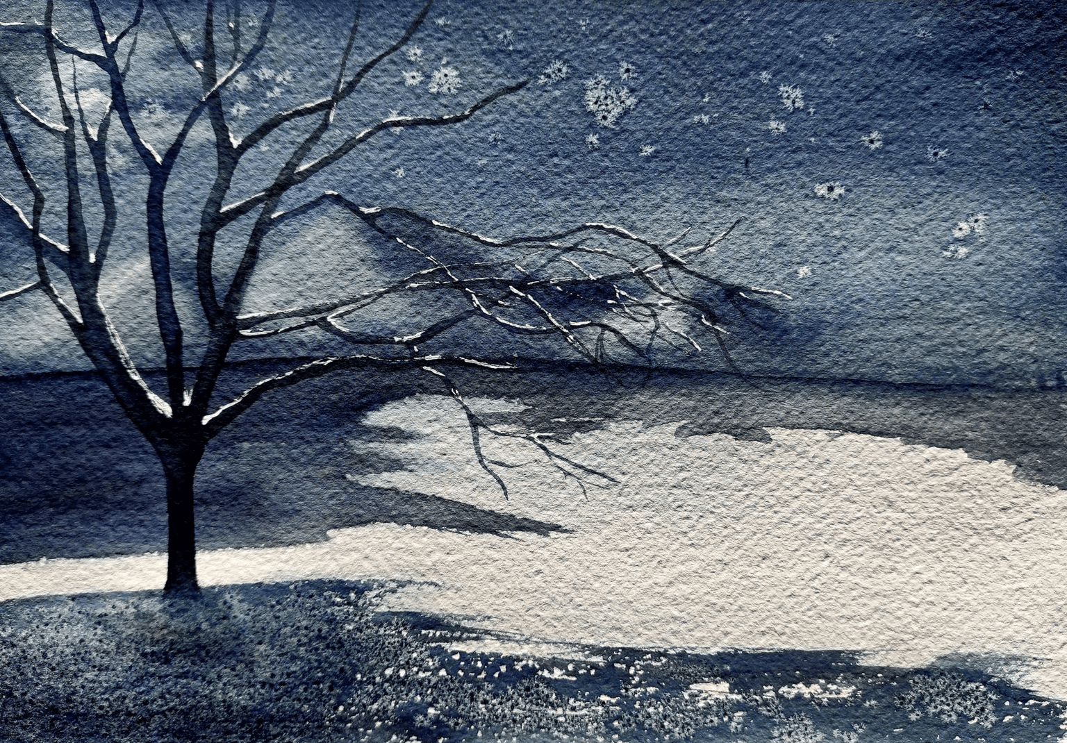Salt effects for Winter Landscapes - image 2 - student project