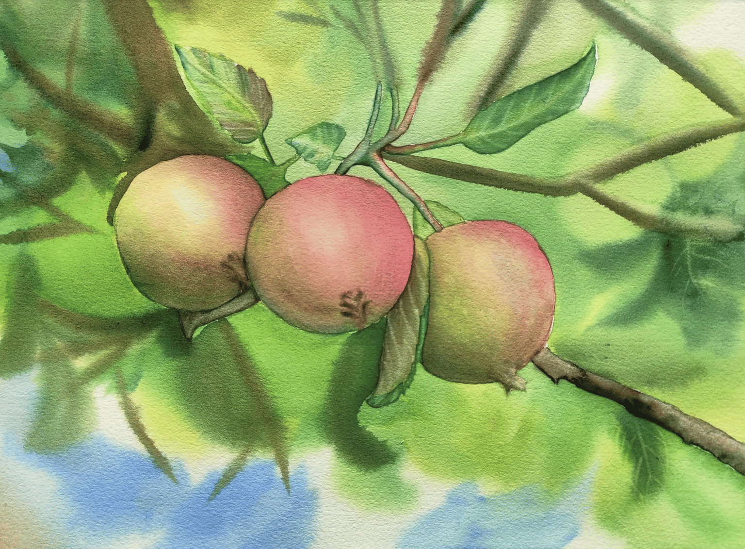 Apples on a Tree - image 2 - student project
