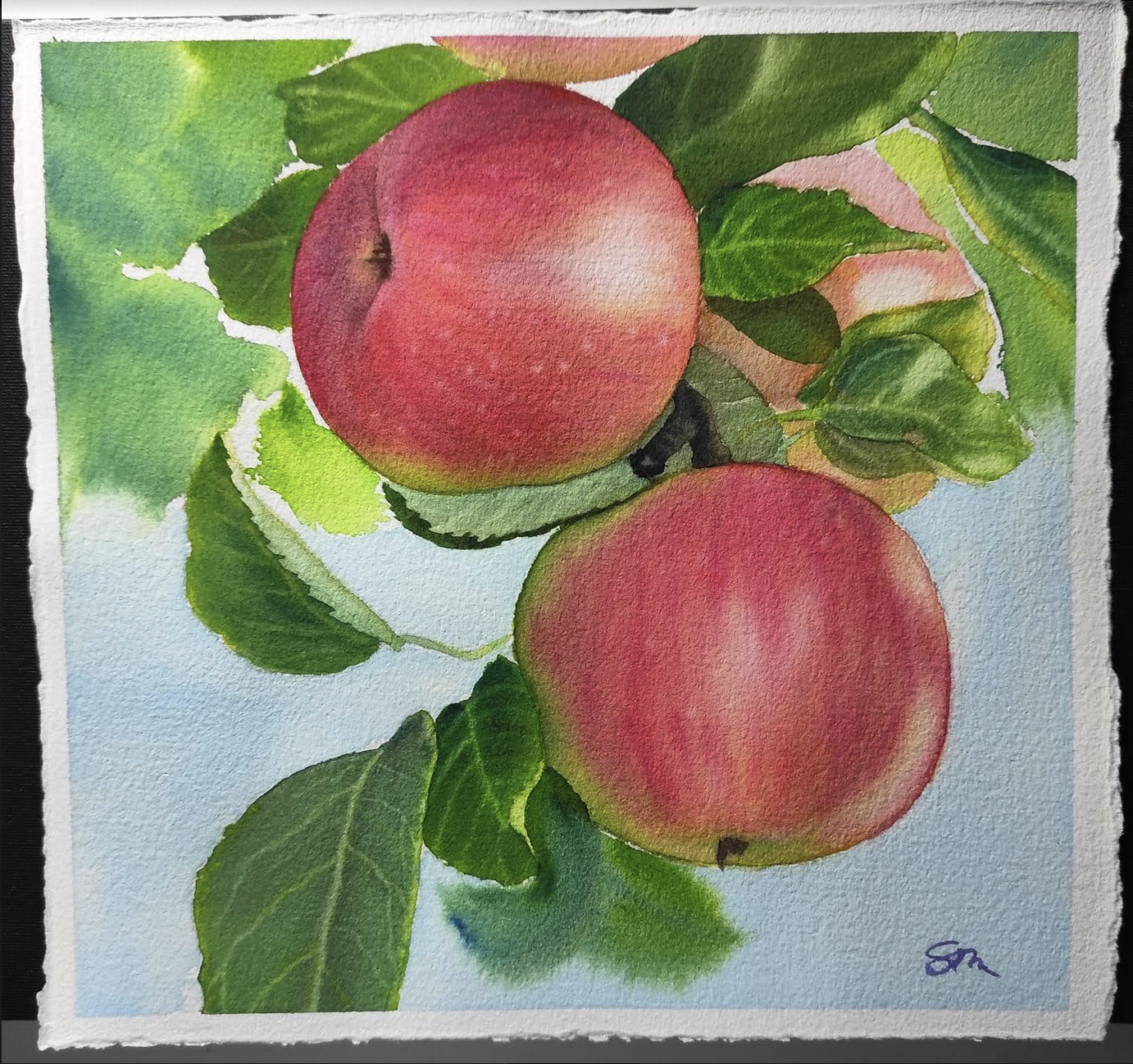 Apples on a Tree - image 3 - student project