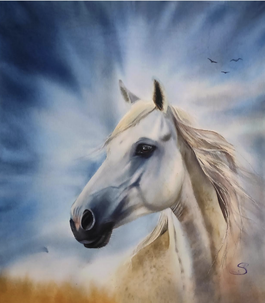 White Horse - image 1 - student project
