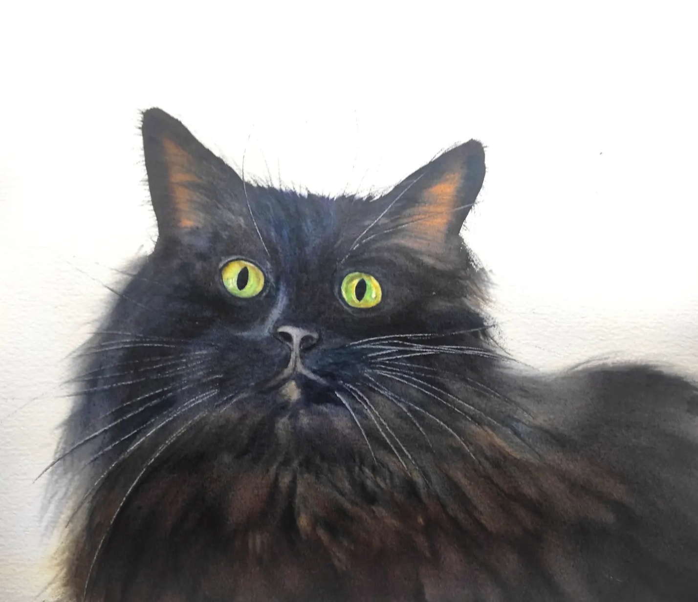 Black Animals - image 1 - student project