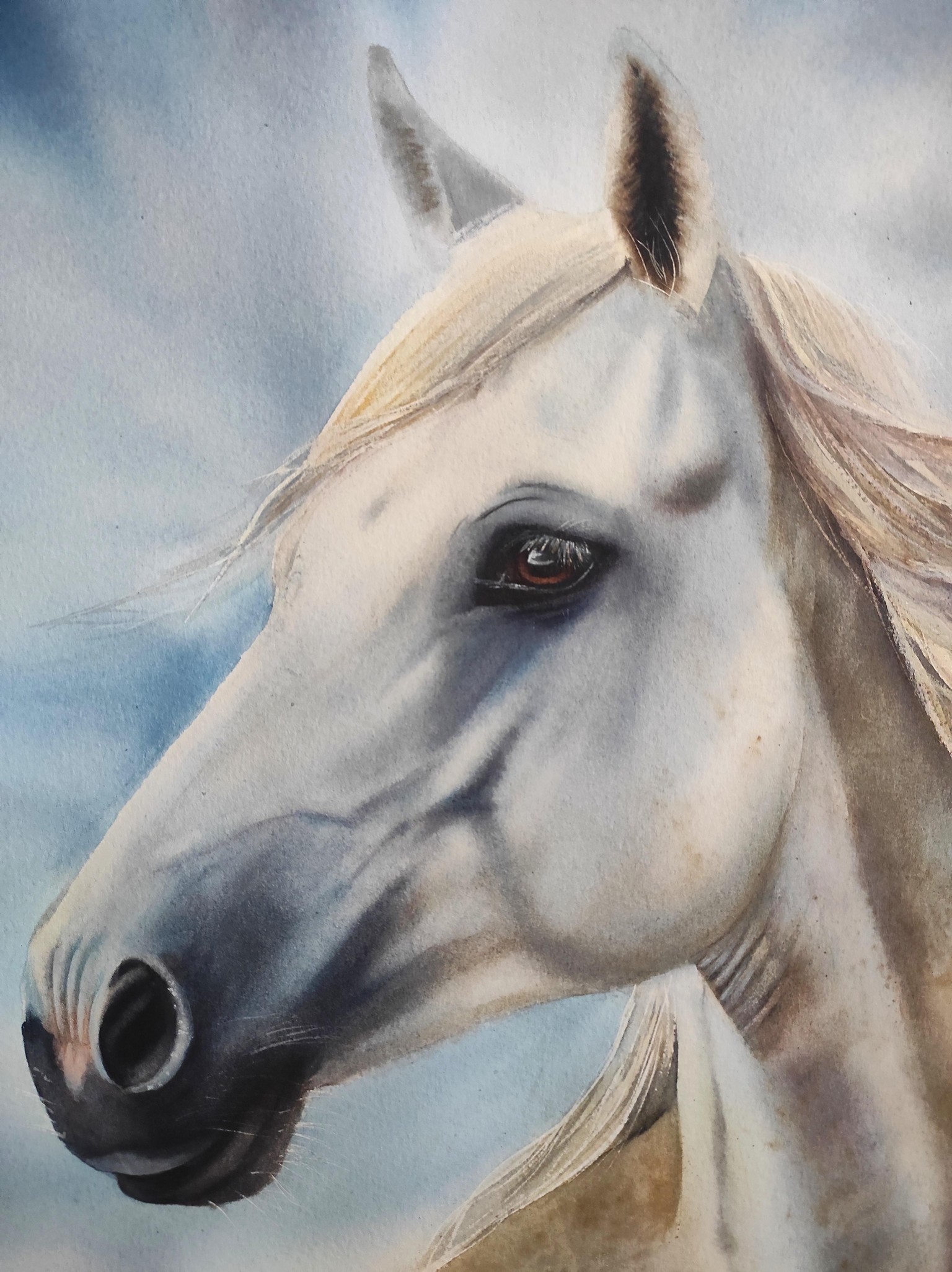 White Horse - image 2 - student project