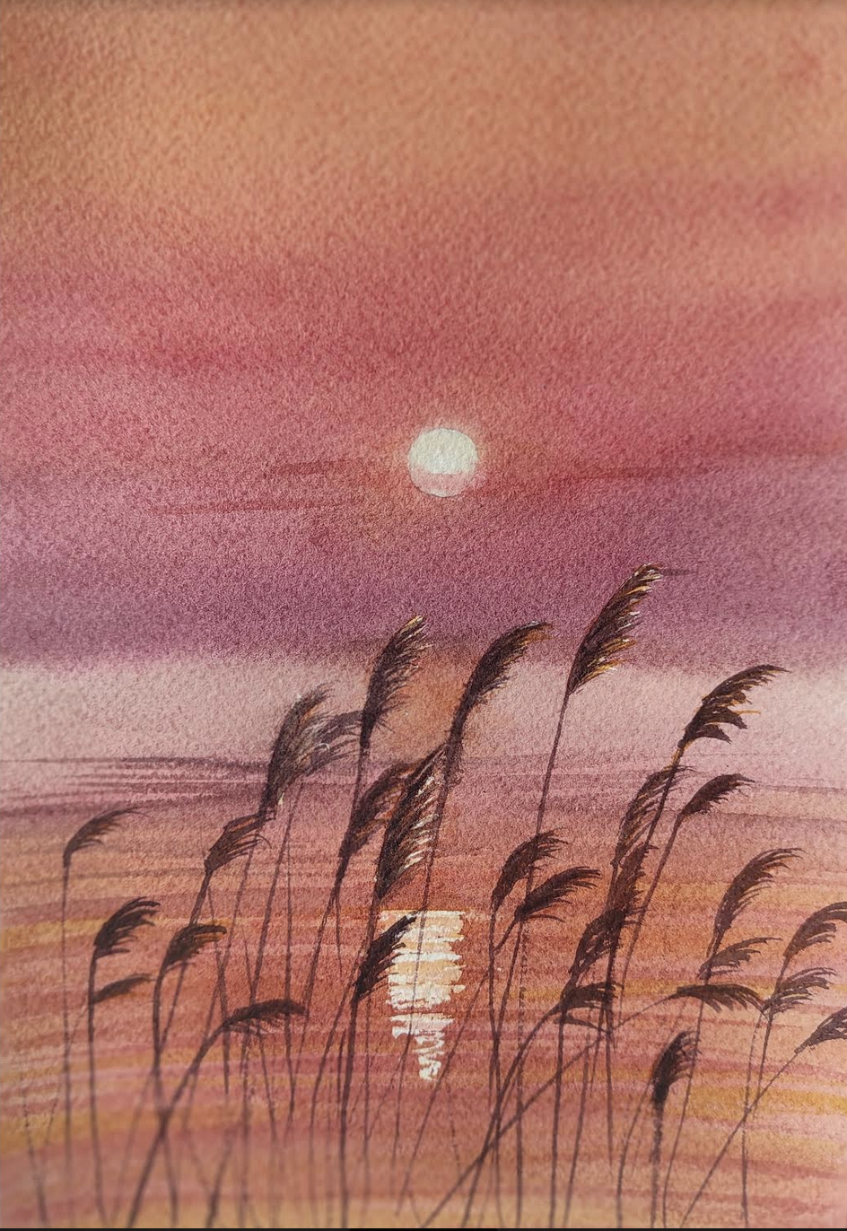Sunset landscape - image 1 - student project