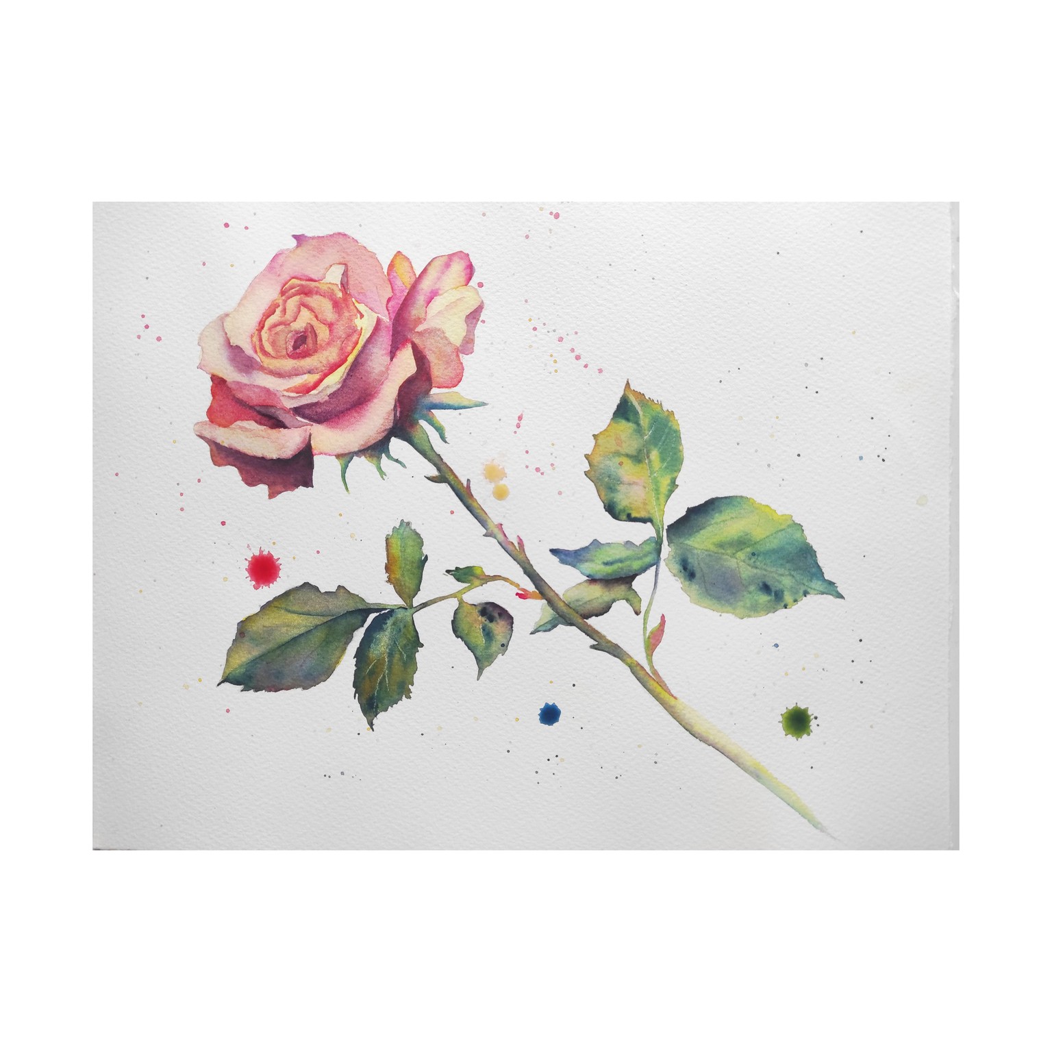 Rose - image 1 - student project
