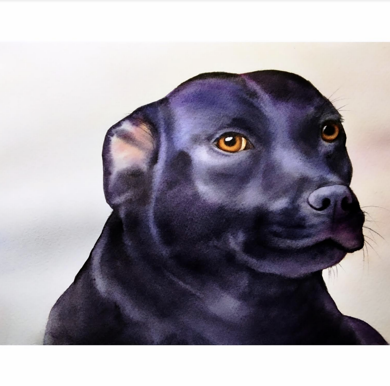 Black Animals - image 3 - student project
