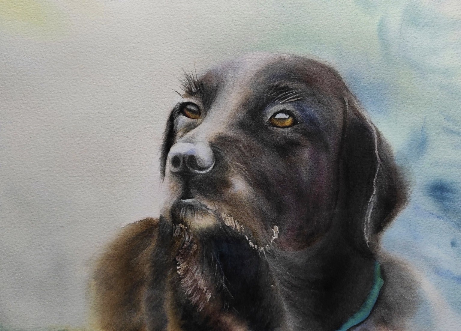 Black Animals - image 2 - student project