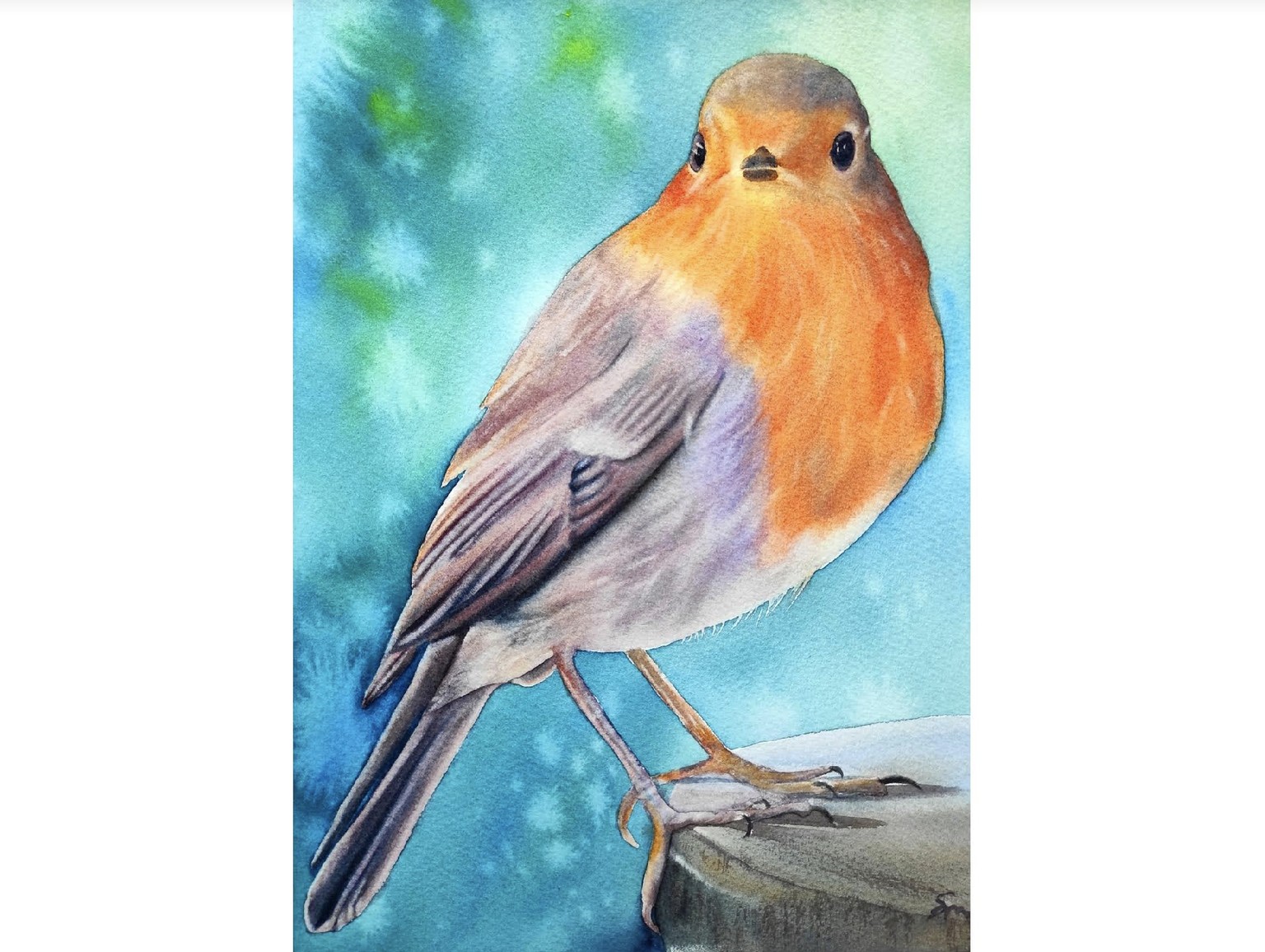 Bird class - image 3 - student project