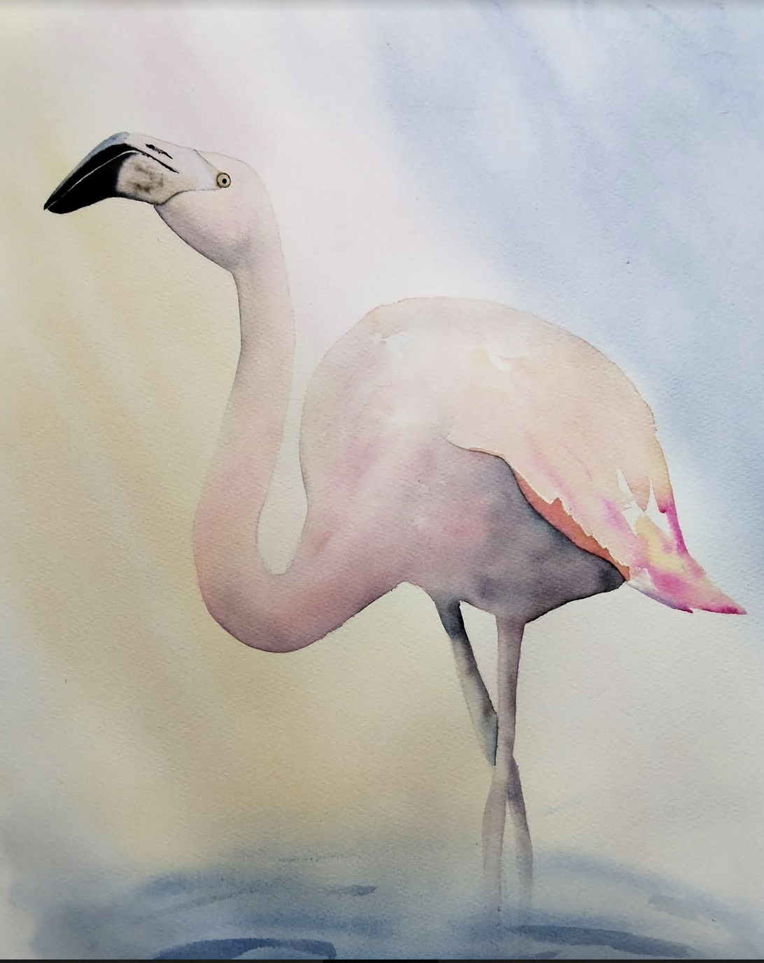 Flamingo - image 1 - student project