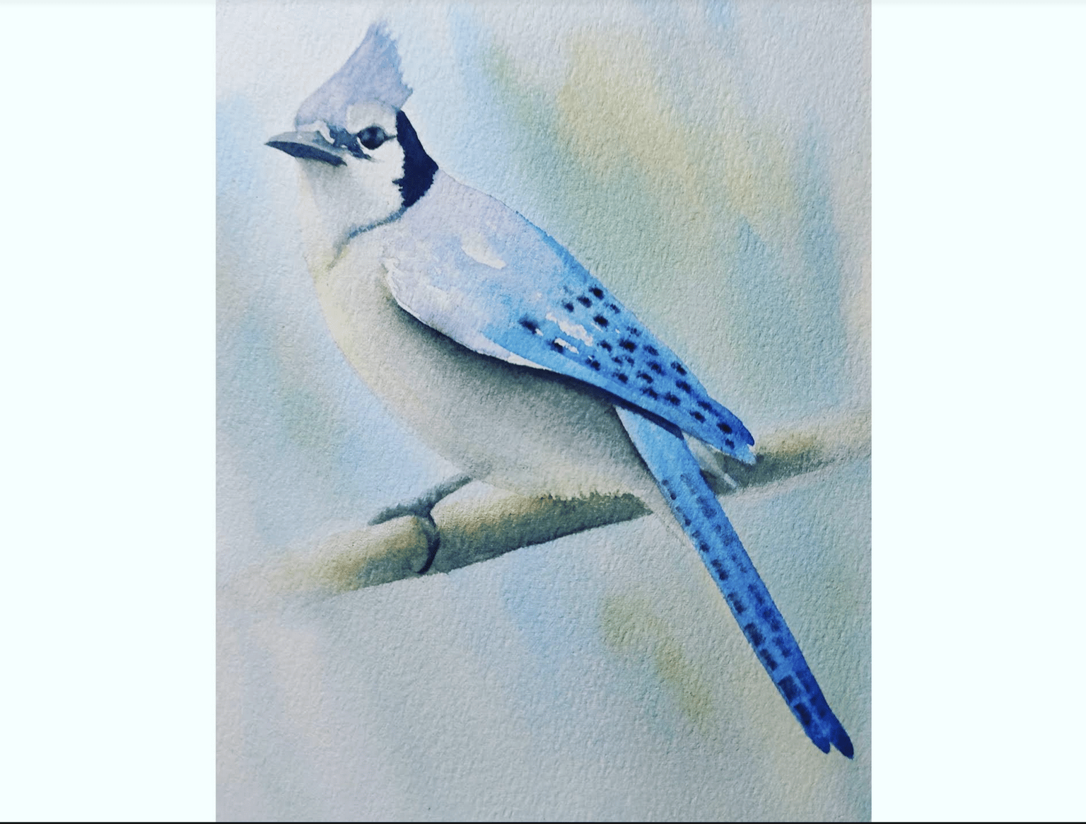 Blue Jay - image 1 - student project