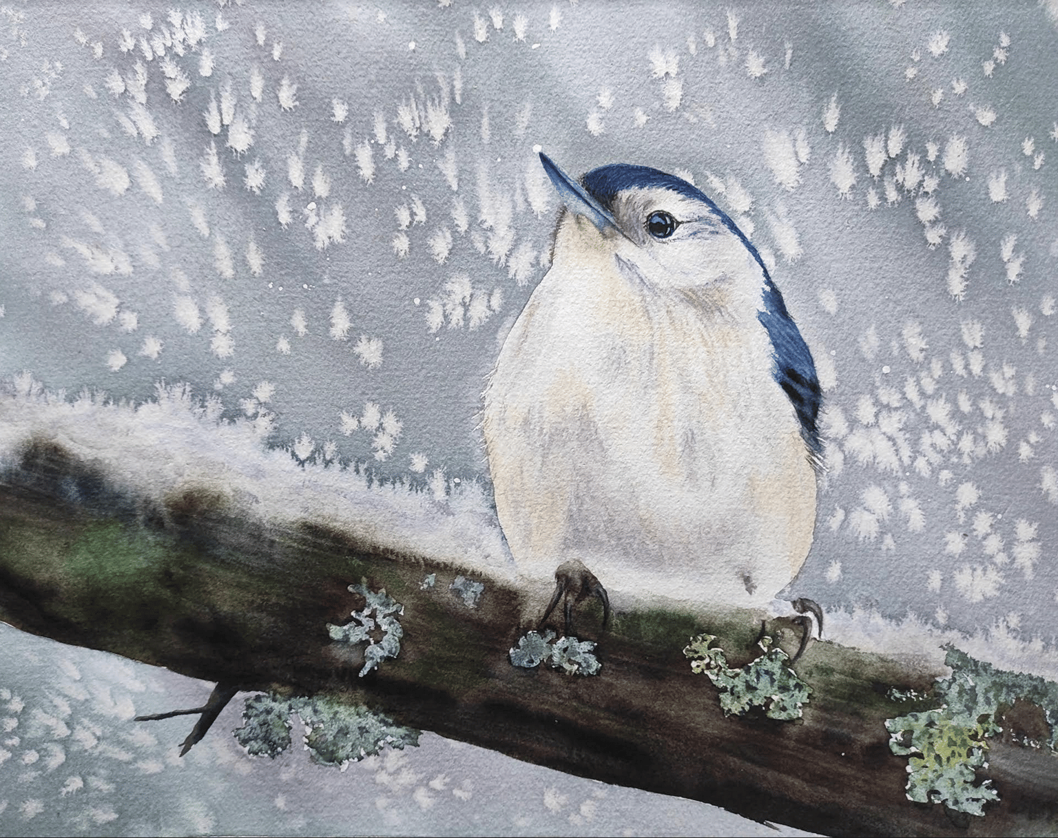 Salt effects for Winter Landscapes - image 4 - student project