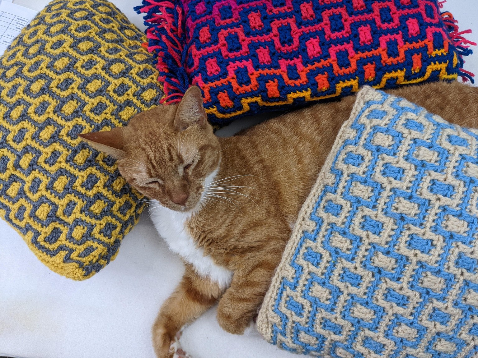 So Many Pillows! - image 1 - student project