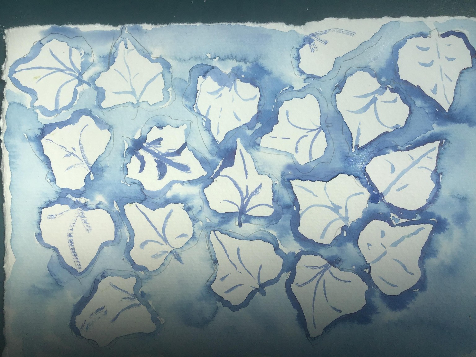 Foglie di Edera. Inchiostro blu - image 1 - student project