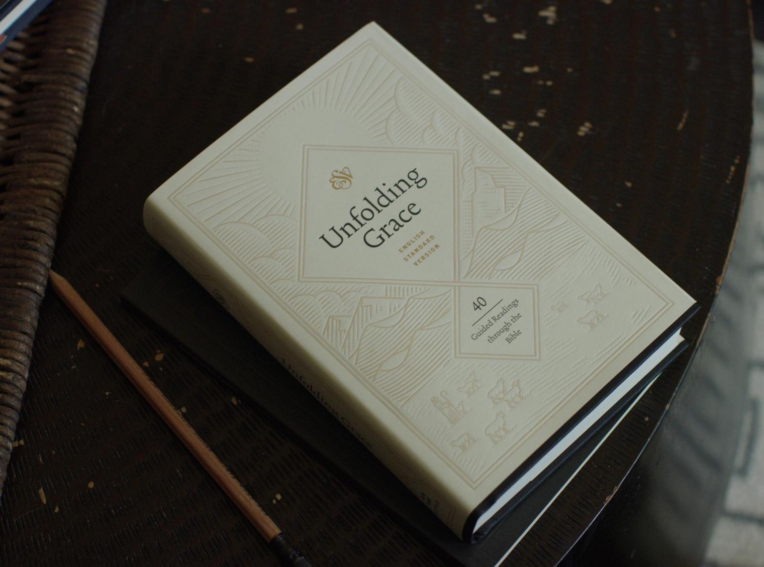 Book Cover - image 1 - student project